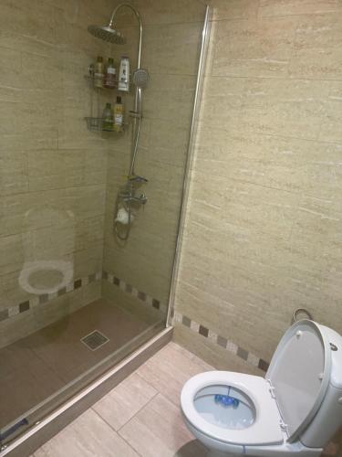 y baño con ducha y aseo con tapa. en Ary apartments, en Ocna-Mureşului