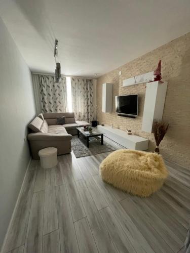 uma sala de estar com um sofá e um tapete em Ary apartments em Ocna-Mureşului