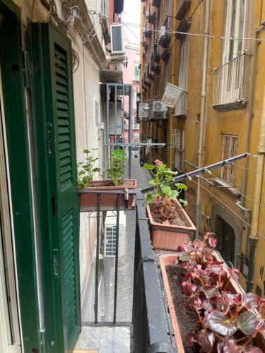 an alley with potted plants and a green door at Ginevra house in Naples