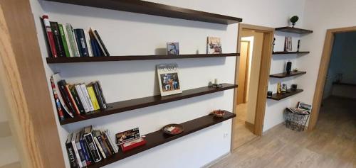 um quarto com prateleiras cheias de livros na parede em Academic Apartment Brno (AAB) 2+1 (62 m²) em Brno