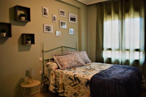 Schlafzimmer mit einem Bett und einem Fenster in der Unterkunft Apartamento Zaranda in Daimiel