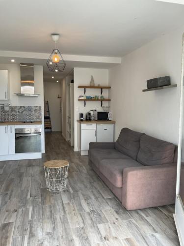 un salon avec un canapé et une cuisine dans l'établissement F2 50 M DE LA MER, à Antibes