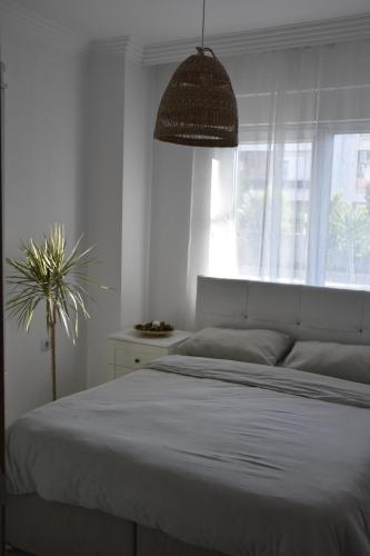 ein Schlafzimmer mit einem Bett und einer Topfpflanze in der Unterkunft Serenity Apart in Antalya