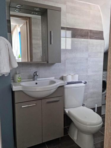a bathroom with a toilet and a sink at Dionysia apartments in Livadia