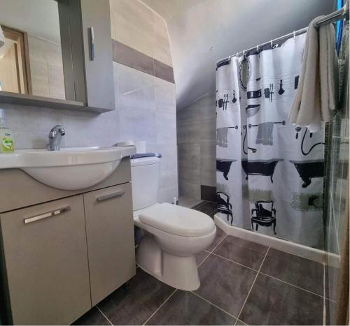 LivadiaにあるDionysia apartmentsのバスルーム(トイレ、洗面台、シャワー付)