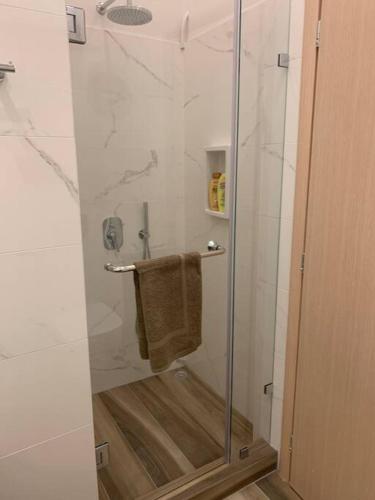 a shower with a glass door and a towel at Alani house in Tinos