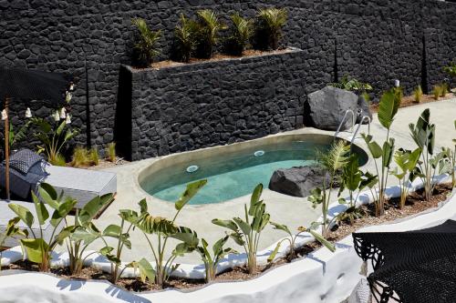 a swimming pool in the middle of a garden at Theano Cave Suites & Villas in Imerovigli
