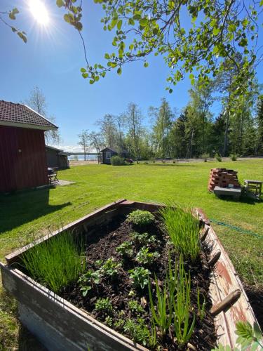 a raised garden bed with plants in a yard at Wästinn in Vöyri
