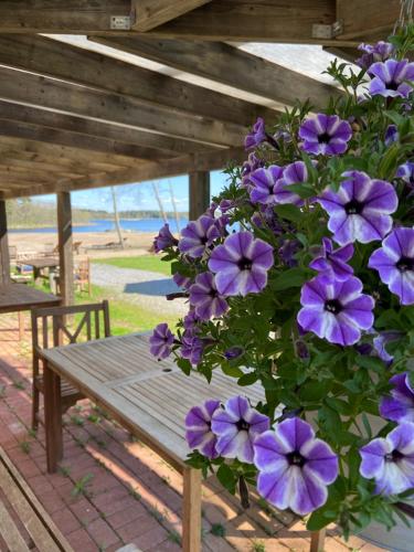a bunch of purple flowers sitting on a wooden bench at Wästinn in Vöyri
