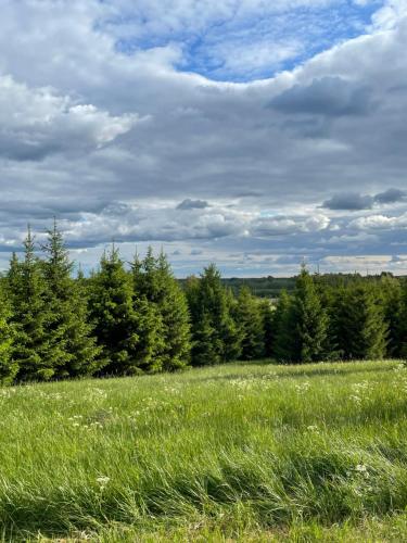 a field with green grass and trees in the background at Restu Forrest Glamp in Otepää