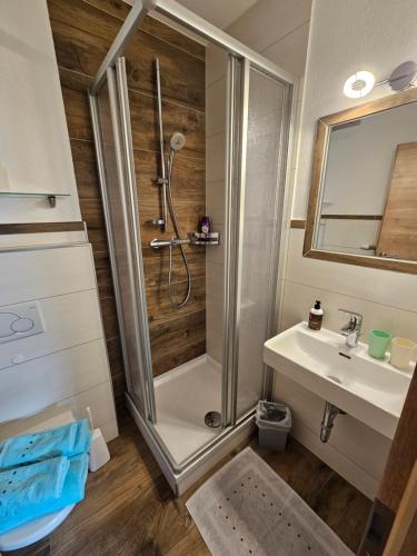a bathroom with a shower and a sink at Haus Pfeifenberger in Zederhaus