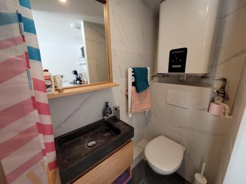een kleine badkamer met een wastafel en een toilet bij 2G- Studio tout équipé avec cuisine proche Paris in Issy-les-Moulineaux