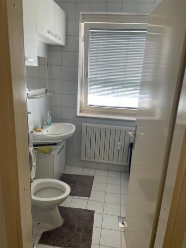 La salle de bains est pourvue de toilettes, d'un lavabo et d'une fenêtre. dans l'établissement Lakiluk, à Kranj