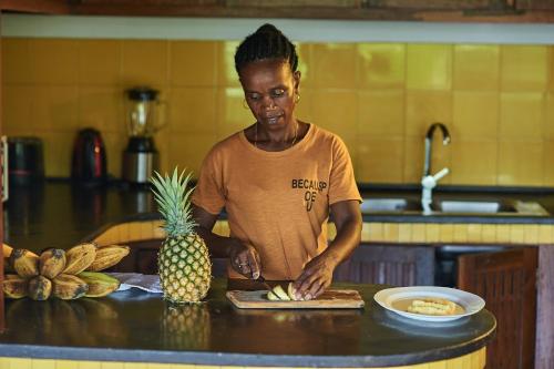 Hosté ubytování Villa MILENA