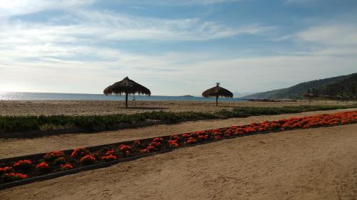 two umbrellas and flowers on a beach at A Pasos de la Playa in Papudo