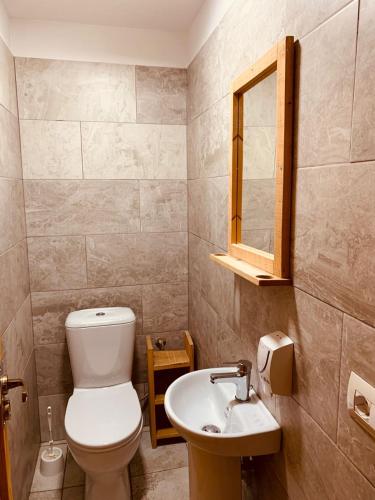 a bathroom with a toilet and a sink at Guest House and Hostel VAL-MAR in Gjirokastër