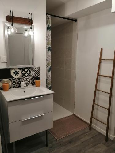 une salle de bain avec un lavabo blanc et une douche dans l'établissement Le Vélo Vintage, Beau 2 pièces centre ville, à Tonneins