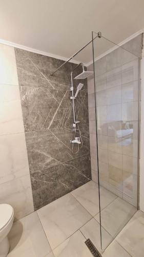 プリシュティナにあるPainte's Homeのガラス張りのシャワーとトイレ付きのバスルーム