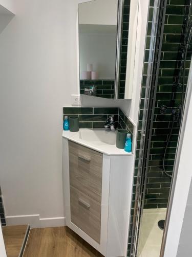 une salle de bain avec un lavabo et un miroir dans l'établissement Studio terrasse, intra-muros, climatisé avec Wifi, à Avignon