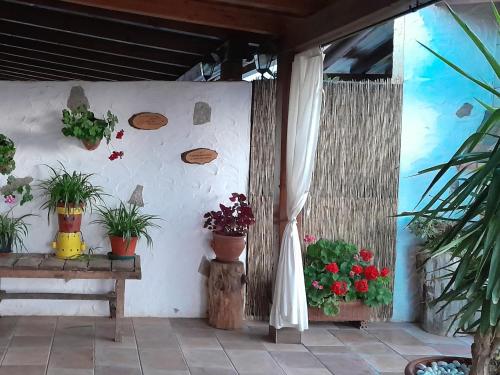 Fotografie z fotogalerie ubytování Cortijo Maromilla vivienda rural con piscina v destinaci Cogollos de Guadix