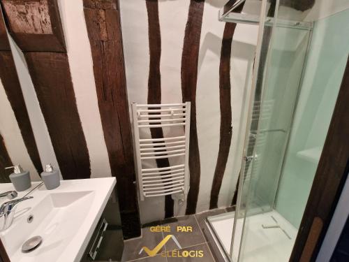 une salle de bain avec un lavabo et une douche en verre dans l'établissement Le Graveur Saint Maclou, Hyper centre, Typique Rouennais, à Rouen