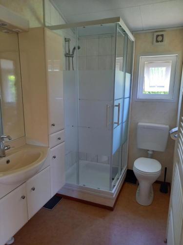 a bathroom with a shower and a toilet and a sink at Chaletbos Voorthuizen Stroe Garderen in Voorthuizen