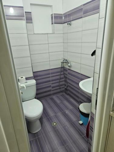 un piccolo bagno con servizi igienici e lavandino di Ylli Mance Apartments a Ksamil