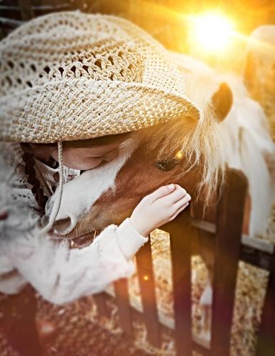 ホームステイの敷地内または近くにいる動物