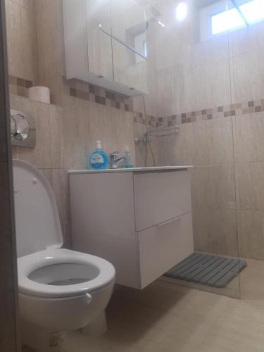 Koupelna v ubytování Zoldrebi apartment