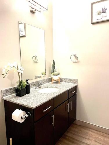 a bathroom with a sink and a mirror at The KING Apt in Downtown Columbus in Columbus
