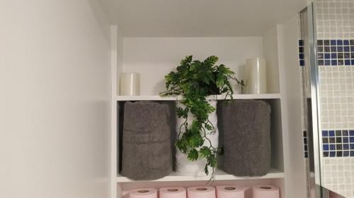 ein Badezimmerregal mit zwei Pflanzen und zwei Handtüchern in der Unterkunft Appart paisible in Athis-Mons