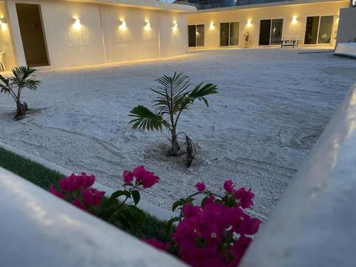 Zahrada ubytování Palomar Villas Río Lagartos