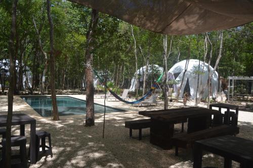 een park met een speeltuin met een glijbaan en schommels bij Glamping Mayan Glam in Tulum