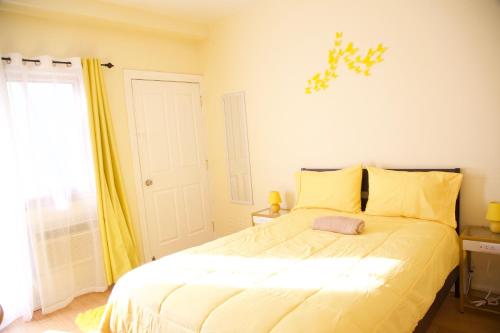 brightonyellow – Fotoğraflar 3