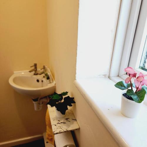 a bathroom with a sink and a flower pot on a window at Sunny South Shields House in Jarrow