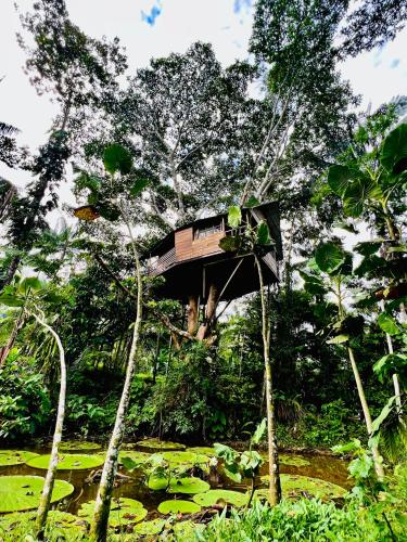 a tree house in the middle of a forest at Reserva Natural Natura Park in Puerto Nariño