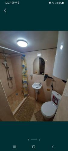 uma casa de banho com um WC e um lavatório em Маєток У Ґазди em Synevyrsʼka Polyana