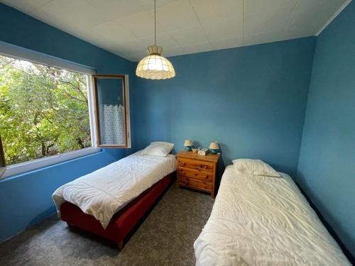 two beds in a room with blue walls and a window at Maison Capbreton, 4 pièces, 6 personnes - FR-1-413-221 in Capbreton