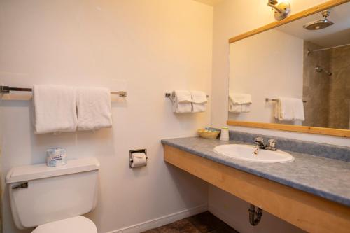 y baño con aseo, lavabo y espejo. en Canadas Best Value Inn- Riverview Hotel en Whitehorse