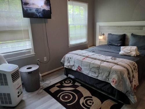 a bedroom with a bed with a television and a rug at Lovely green townhouse in Frederick