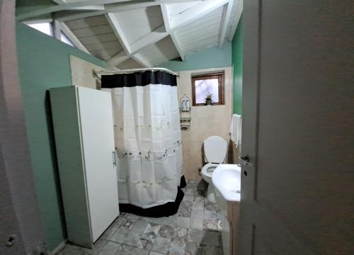 y baño con aseo y cortina de ducha. en MAGALLANES en Ushuaia