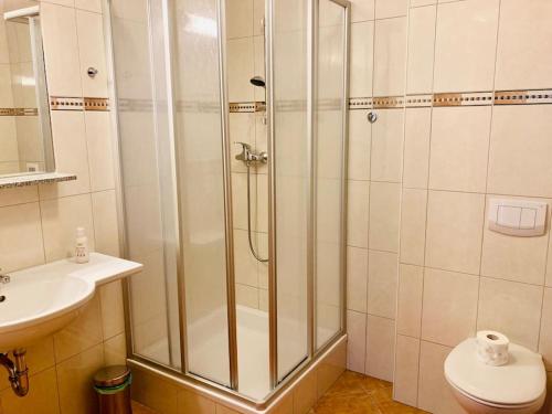 a bathroom with a shower and a toilet and a sink at Exklusives Apt mit 3 Schlafzimmern & 3 Bädern in Wagrain