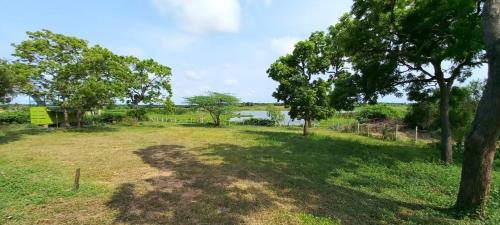 un campo con árboles y un lago en el fondo en Lake Lodge Weeravila, en Hambantota