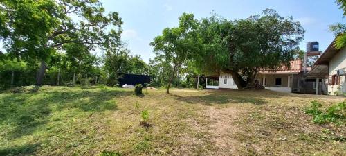 un patio frente a una casa con un árbol en Lake Lodge Weeravila, en Hambantota