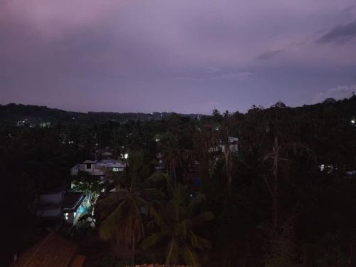 a view of a city at night with palm trees at Gulzar 2BHK Service Apartment, kannur in Kannur