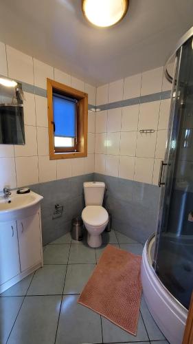 een badkamer met een toilet, een wastafel en een douche bij domki nad jeziorem in Wołkowyja