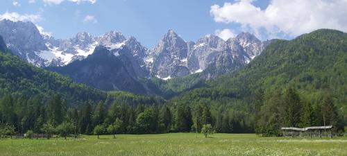 a green field with mountains in the background at House Leska in Kranjska Gora