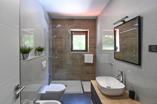a bathroom with a shower and a toilet and a sink at Villa Suzana grijani bazen i biljar na otvorenom in Veprinac