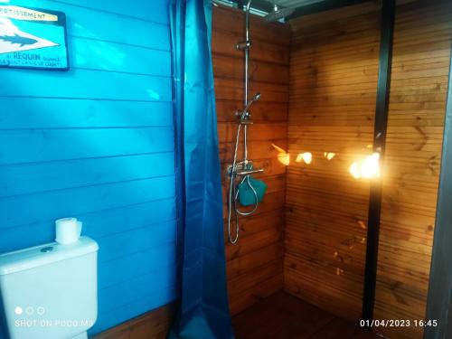La salle de bains est pourvue d'une douche et de toilettes. dans l'établissement Bungalow bleu, à L'Étang-Salé