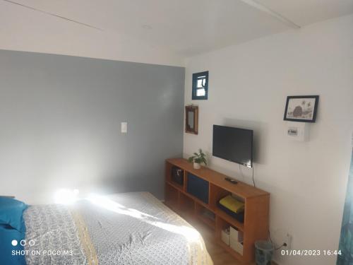 Schlafzimmer mit einem Bett und einem Flachbild-TV in der Unterkunft Bungalow bleu in L’Étang-Salé